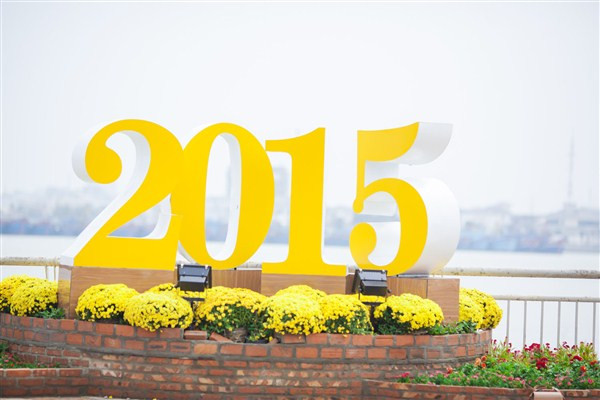 Bạn trẻ Đà Nẵng rạng rỡ bên đường hoa Tết ảnh 1