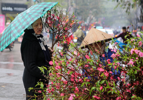 Đón Tết ông Công ông Táo, đại sứ Mỹ thả cá ở Hồ Tây ảnh 3