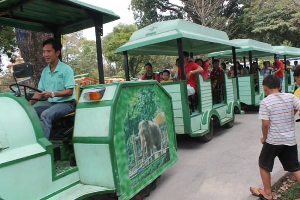 Du khách đổ xô tới Thảo Cẩm Viên vào mùng 3 Tết ảnh 6