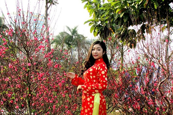 Bạn trẻ Đà Nẵng rạng rỡ bên đường hoa Tết ảnh 10