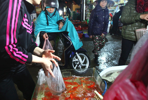 Đón Tết ông Công ông Táo, đại sứ Mỹ thả cá ở Hồ Tây ảnh 14