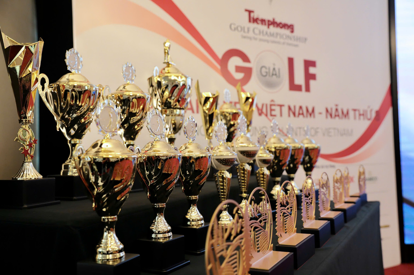 Khởi động Tiền Phong Golf Championship - Vì Tài năng trẻ Việt Nam ảnh 2 Khởi động Tiền Phong Golf Championship - Vì Tài năng trẻ Việt Nam ảnh 2
