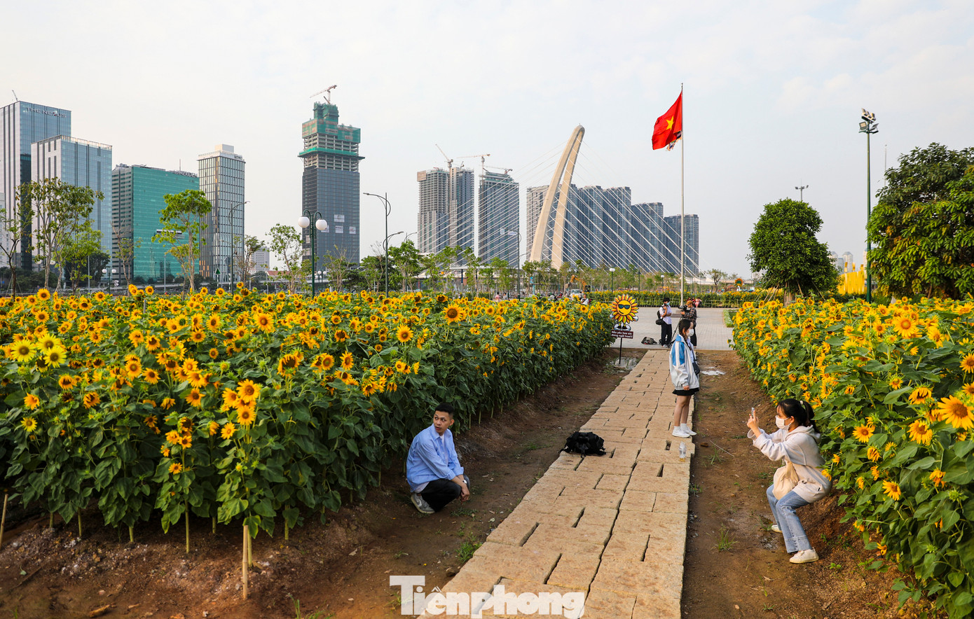 Du khách check in vườn hoa dưới nắng chiều.