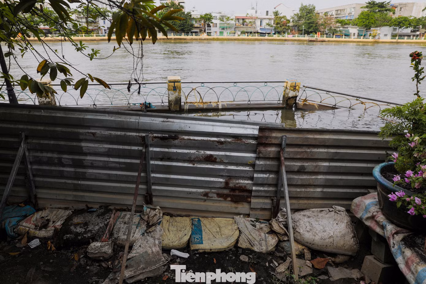 Nhiều hàng rào chắn được người dân dựng lên để ngăn triều cường. Tuy nhiên, người dân cho biết đây chỉ là phương án tạm thời trong khi chờ cơ quan chức năng có phương án khắc phục.