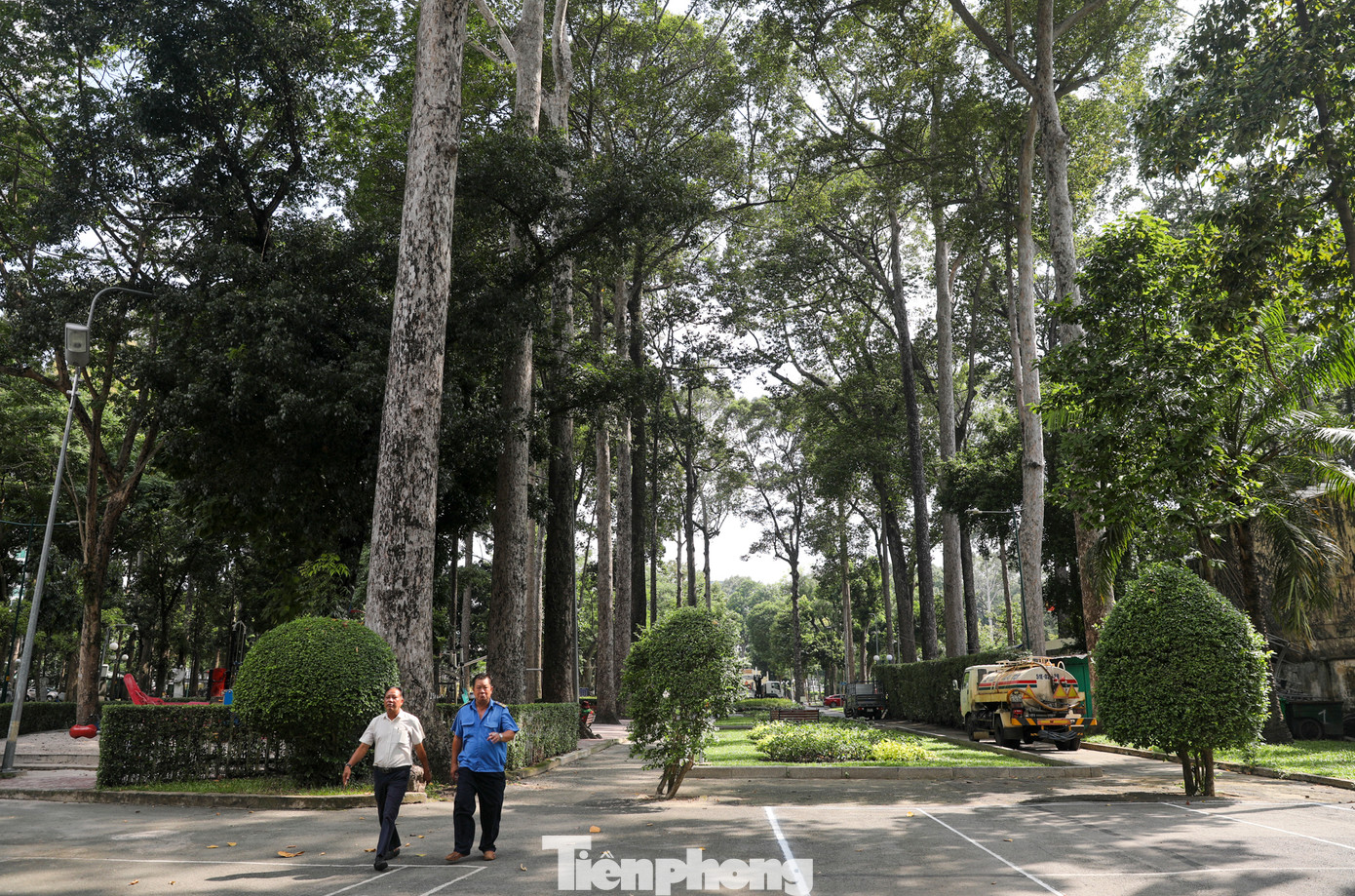 Với hơn 1.000 cây xanh rợp bóng, Công viên Tao Đàn sở hữu khoảng không gian xanh mát giữa lòng trung tâm thành phố.