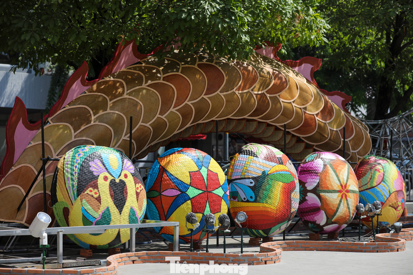 Chính vì vậy, rất nhiều người kỳ vọng sẽ sớm được tận mắt chiêm ngưỡng khung cảnh đường hoa tuyệt đẹp của năm nay.