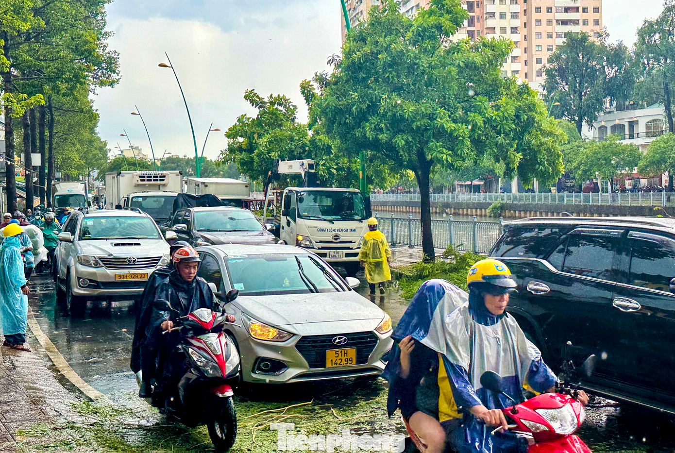 Cây xanh đổ ra đường khiến giao thông tại đoạn đường này bị tê liệt, nhiều ô tô không thể di chuyển. Cây xanh đổ ra đường khiến giao thông tại đoạn đường này bị tê liệt, nhiều ô tô không thể di chuyển.
