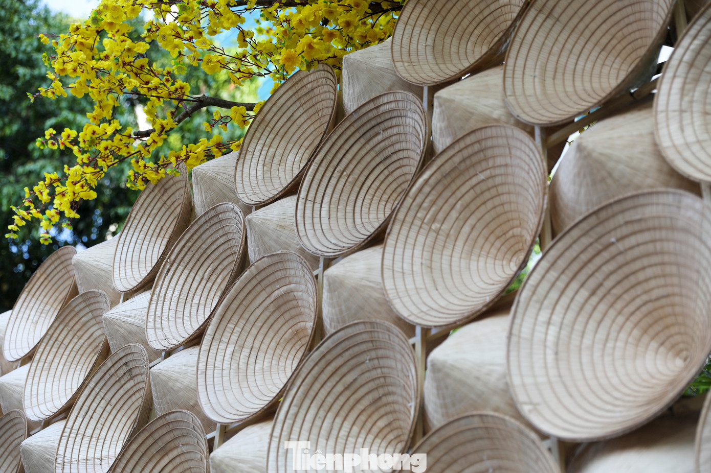 Nhiều tiểu cảnh đẹp mắt được đầu tư kỹ lưỡng chuẩn bị phục vụ người dân, du khách.