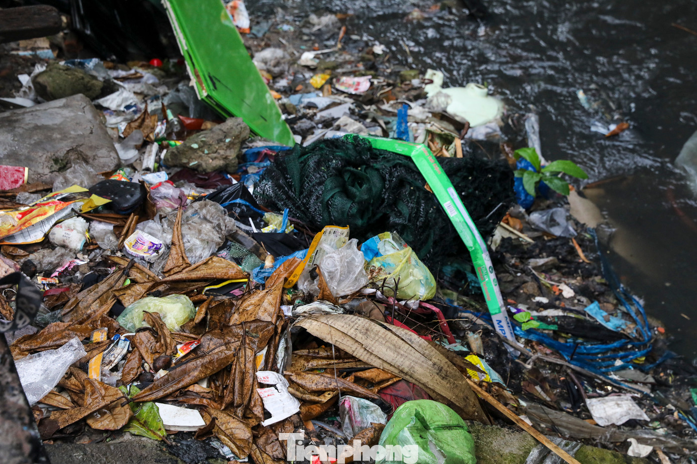 Tuy nhiên, những ngày qua, xảy ra nhiều trận mưa lớn, rác từ nhiều nơi theo dòng chảy đổ về phủ dọc mặt kênh.