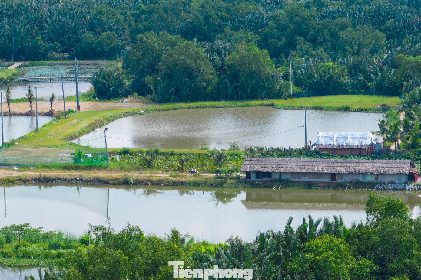 Việc trì hoãn tiến độ, khiến nhiều người dân sống tại đây gặp nhiều khó khăn về đời sống và không thể xây cất nhà mới. Chủ yếu người dân tại đây sử dụng đất để trồng rau, nuôi cá kiếm thêm thu nhập trong lúc chờ bồi thường, giải phóng mặt bằng.