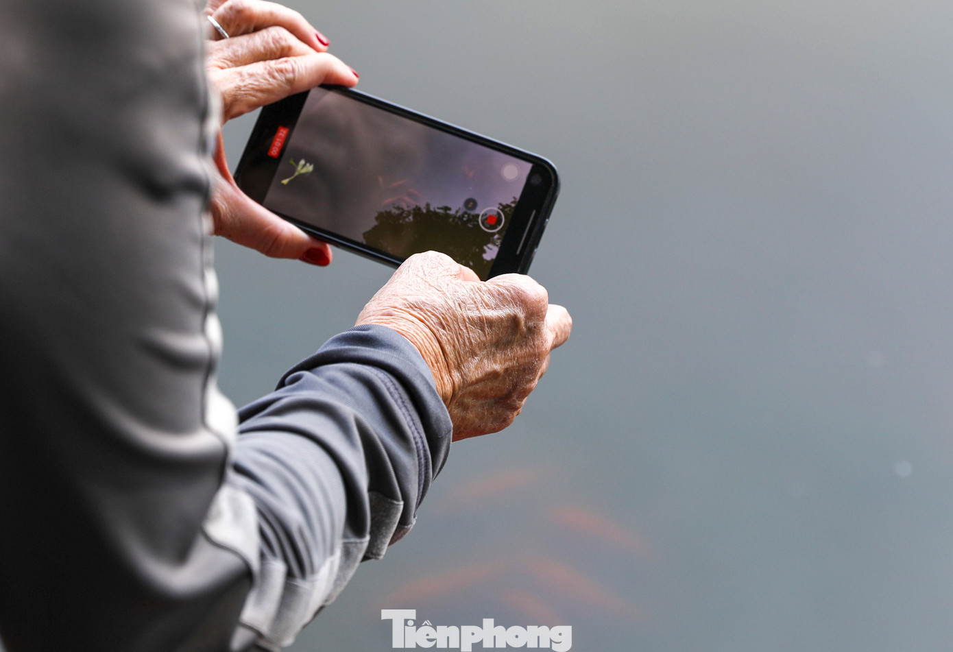 Sau khi thả cá xong, nhiều người dân đã nán lại rất lâu để xem cá đã bơi đi chưa, tránh tình trạng cá mắc kẹt không bơi ra được sông.