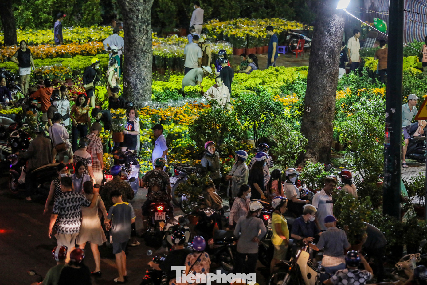 Càng về khuya, lượng người đến chợ hoa tại các công viên mua sắm hoa Tết nhộn nhịp.
