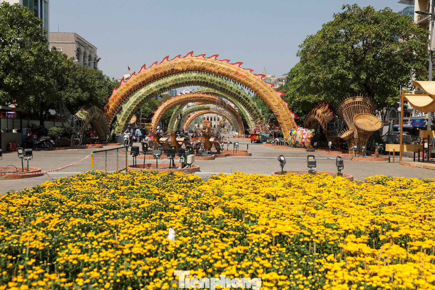 Năm nay làng mai Bình Lợi, huyện Bình Chánh tiếp tục đồng hành cùng Đường hoa, góp thêm vẻ đẹp rực rỡ mà dung dị cho khu vực này.