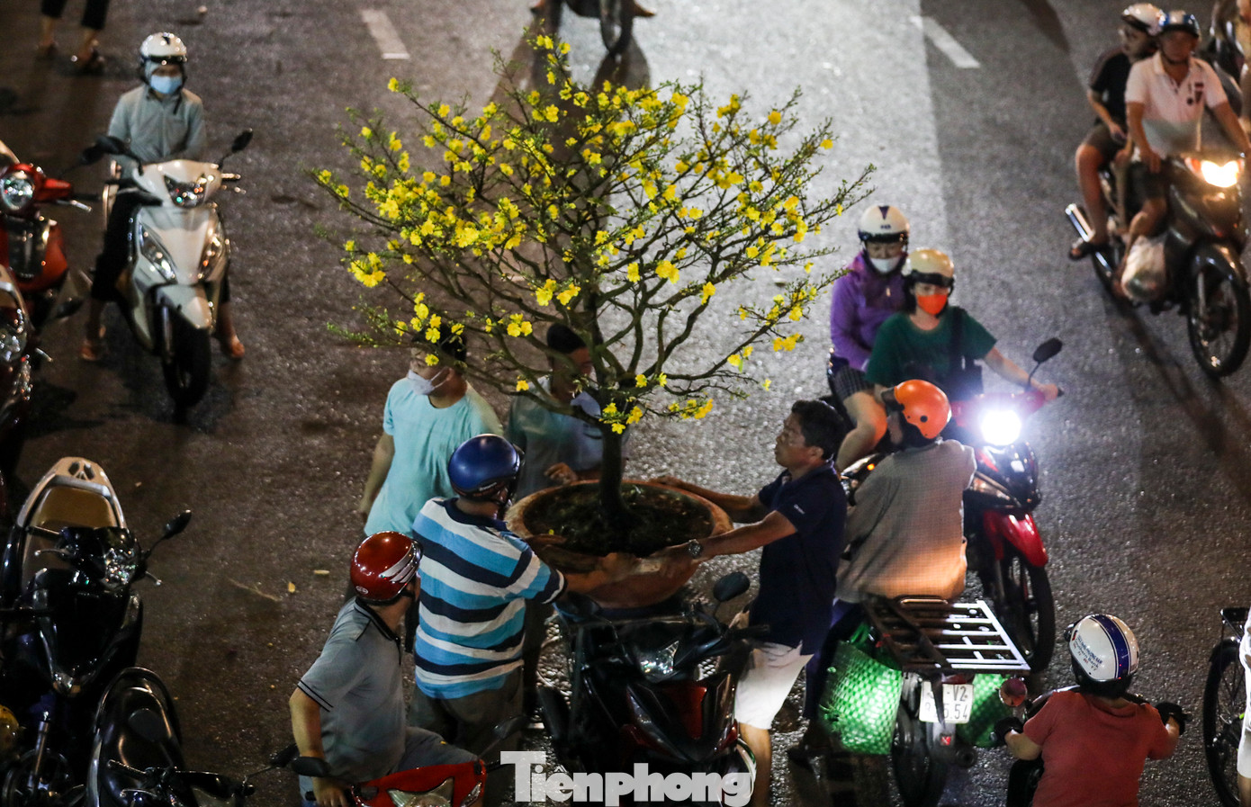 Người dân dùng đủ mọi phương tiện từ ô tô đến xe máy để chở các cây hoa kiểng về nhà chưng Tết.