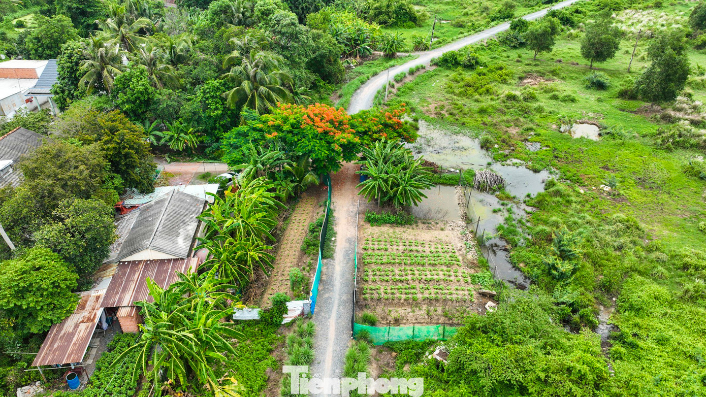 Gần đó, căn nhà trong khu depot thuộc diện giải tỏa nhưng chưa di dời, lọt thỏm giữa các bụi cây, người dân di chuyển ra đường lớn qua các lối mòn.