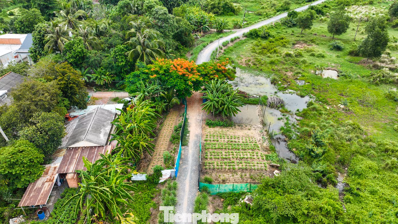 Gần đó, căn nhà trong khu depot thuộc diện giải tỏa nhưng chưa di dời, lọt thỏm giữa các bụi cây, người dân di chuyển ra đường lớn qua các lối mòn.