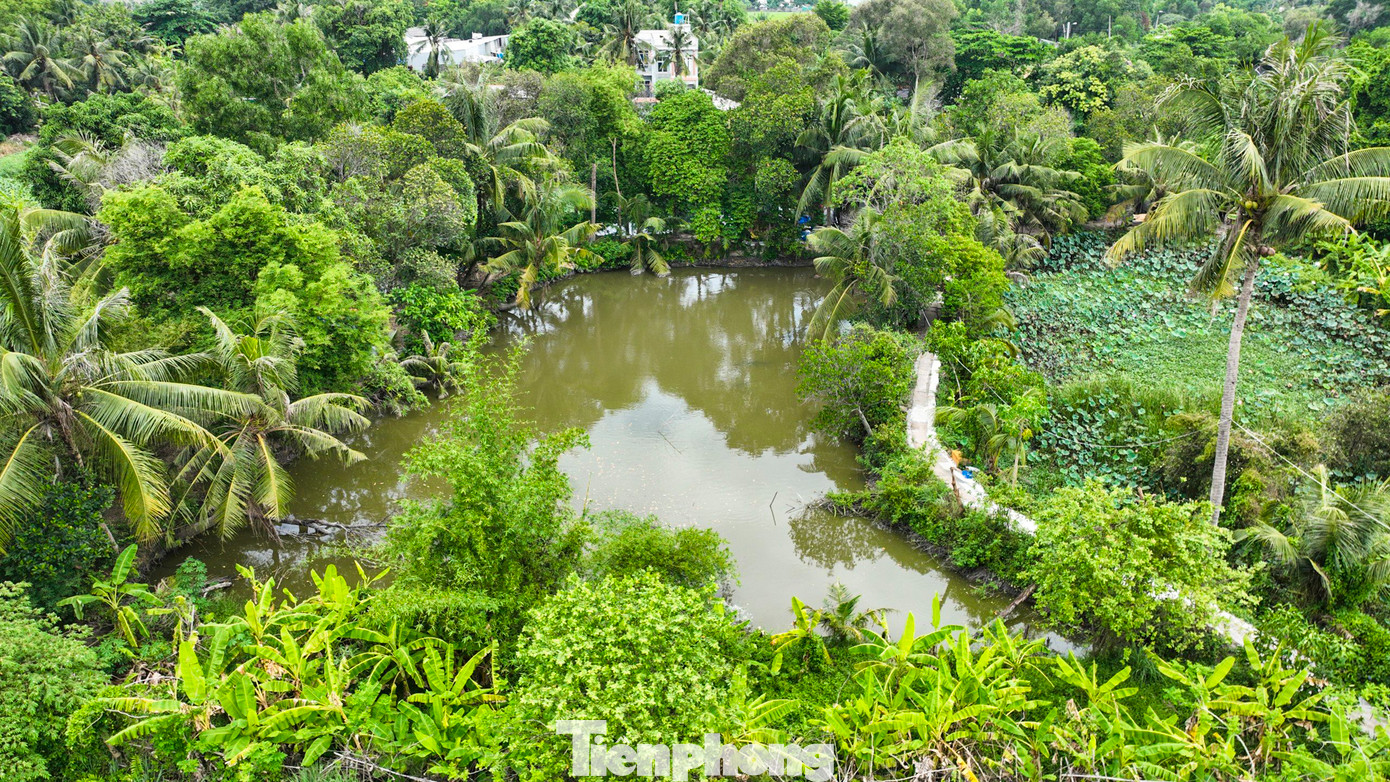 Hạng mục san lấp mặt bằng hoàn thành 99% khối lượng nhưng đang bị che phủ bởi bụi cây, cỏ dại. Cao độ san lấp được nghiệm thu lần cuối vào tháng 3/2019 đến nay cũng không còn đáp ứng như thiết kế do lún tự nhiên.