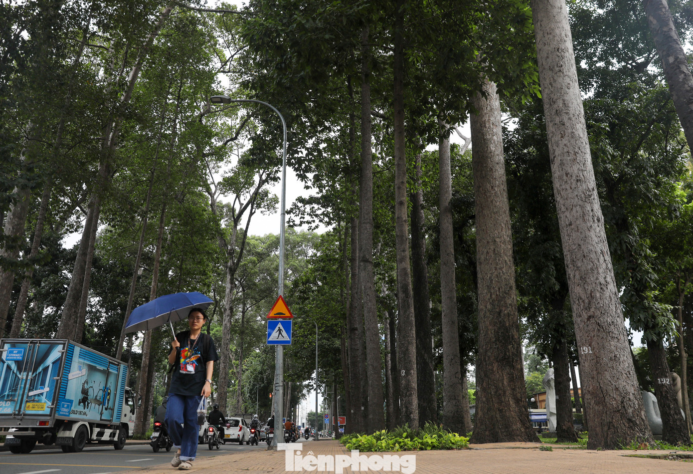 Công viên Tao Đàn được giới hạn bởi 4 tuyến đường: Nguyễn Thị Minh Khai, Huyền Trân Công Chúa, Nguyễn Du và Cách Mạng Tháng Tám. Những đoạn đường này cũng được bao trùm bởi những tán cây xanh khổng lồ.