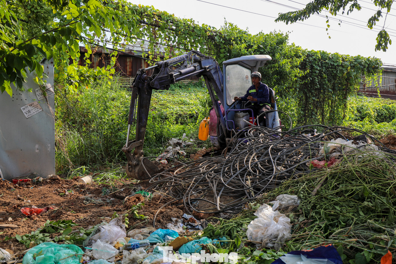 Nhiều đoạn thi công cỏ mọc um tùm. Nhiều đoạn thi công cỏ mọc um tùm.