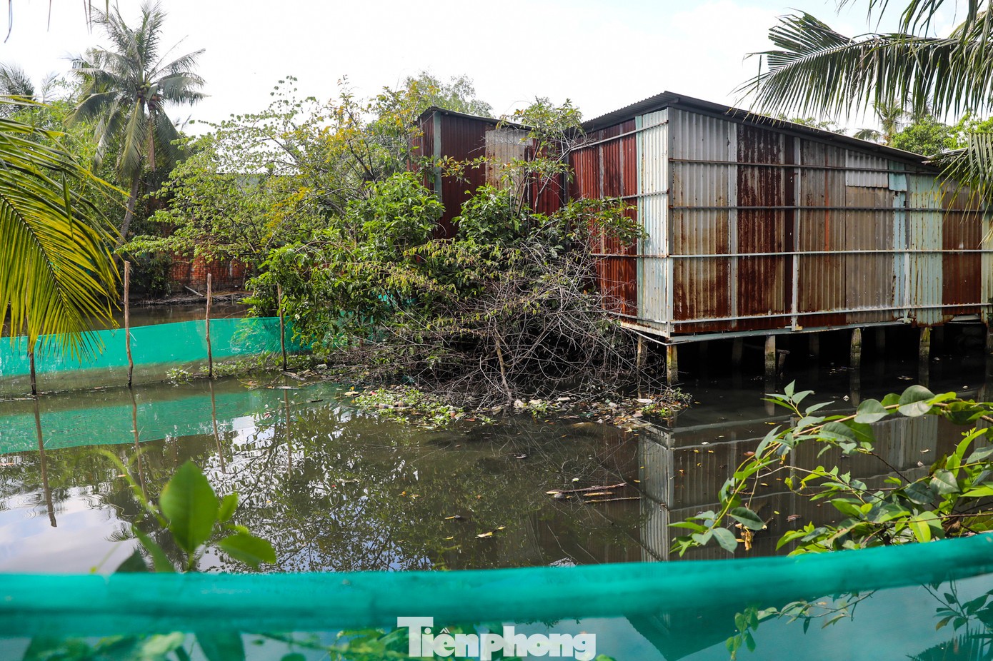 Do nằm trong khu quy hoạch nên các khu dân cư trong dự án đều tạm bợ.