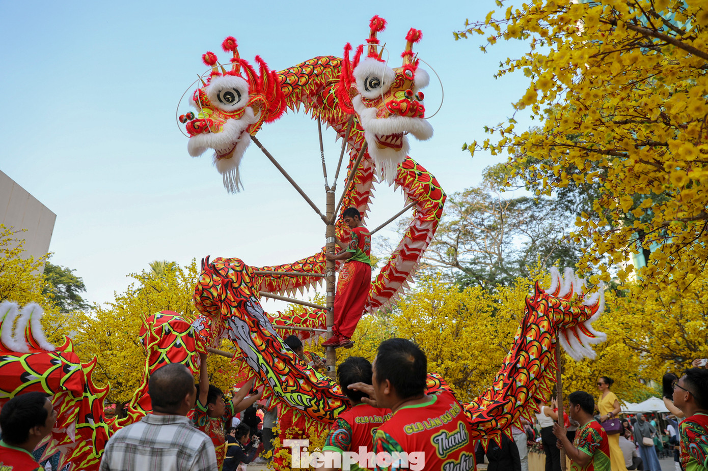 Cũng như mọi năm, vào những ngày cận Tết nguyên đán, phố ông đồ rực rỡ sắc màu, rộn ràng không khí Tết.