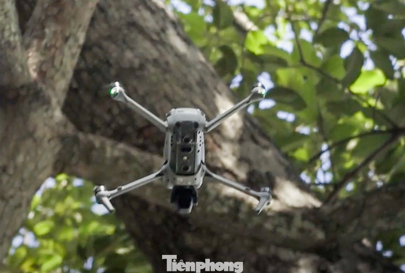 Công ty đã sử dụng flycam để hỗ trợ kiểm tra, đánh giá tình hình cây xanh trong công viên, đồng thời thuê 2 xe nâng loại 35 - 40 m để thực hiện thu gom, cắt tỉa cây xanh.