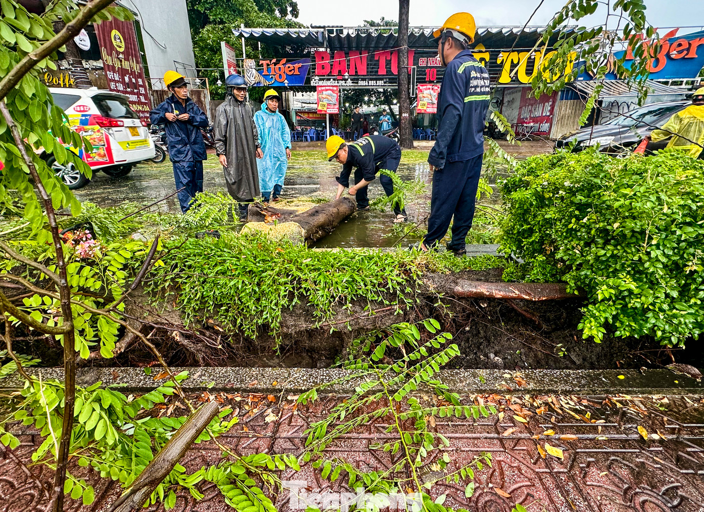 Đài Khí tượng thuỷ văn khu vực Nam Bộ cho biết tại TPHCM, chiều và tối có mưa rào và dông diện rộng. Trong cơn dông cần đề phòng gió giật mạnh, lốc, sét, mưa đá... Đài Khí tượng thuỷ văn khu vực Nam Bộ cho biết tại TPHCM, chiều và tối có mưa rào và dông diện rộng. Trong cơn dông cần đề phòng gió giật mạnh, lốc, sét, mưa đá...