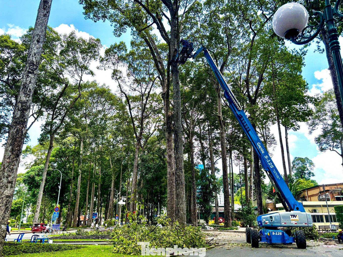 Xe nâng loại 40 m thực hiện thu gọn cành, nhánh cây có dấu hiệu khiếm khuyết, nguy hiểm trong Công viên Tao Đàn.