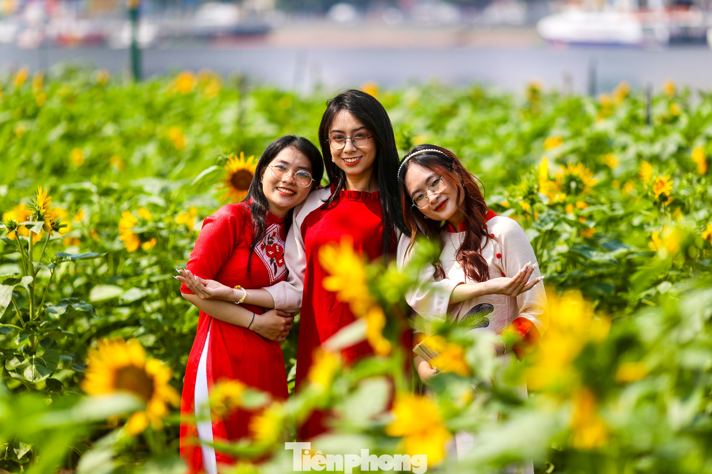 Khách tham quan thích thú tạo dáng chụp hình tại khu vực vườn hoa hướng dương.