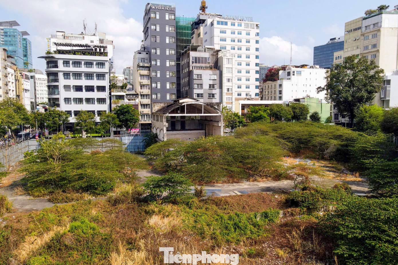 Bên trong khu đất vàng bị bỏ hoang nhiều năm, cỏ mọc um tùm.