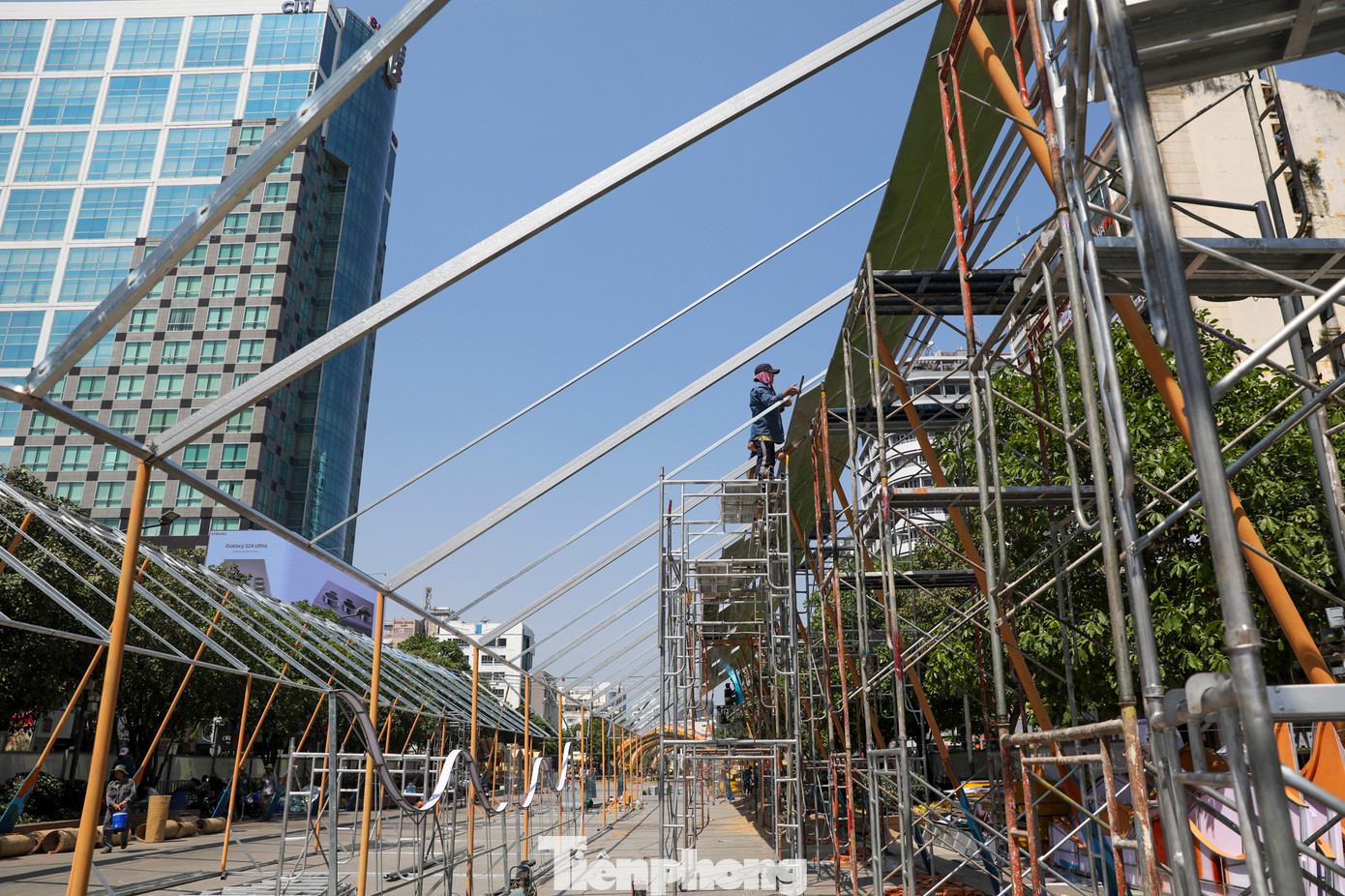 Hàng nghìn lá nhôm mỏng được treo lên cành mai nhà vườn, tôn thêm vẻ đẹp, tạo hiệu ứng óng ánh, long lanh cả ngày và đêm.