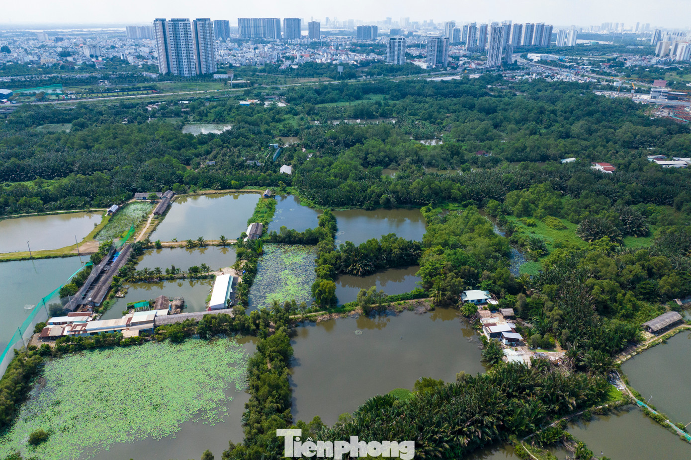 Hiện nay phần lớn diện tích của dự án chủ yếu là đất trống, ao hồ, cỏ mọc um tùm, cùng với đó là những căn nhà tạm của người dân trong khu vực dự án.