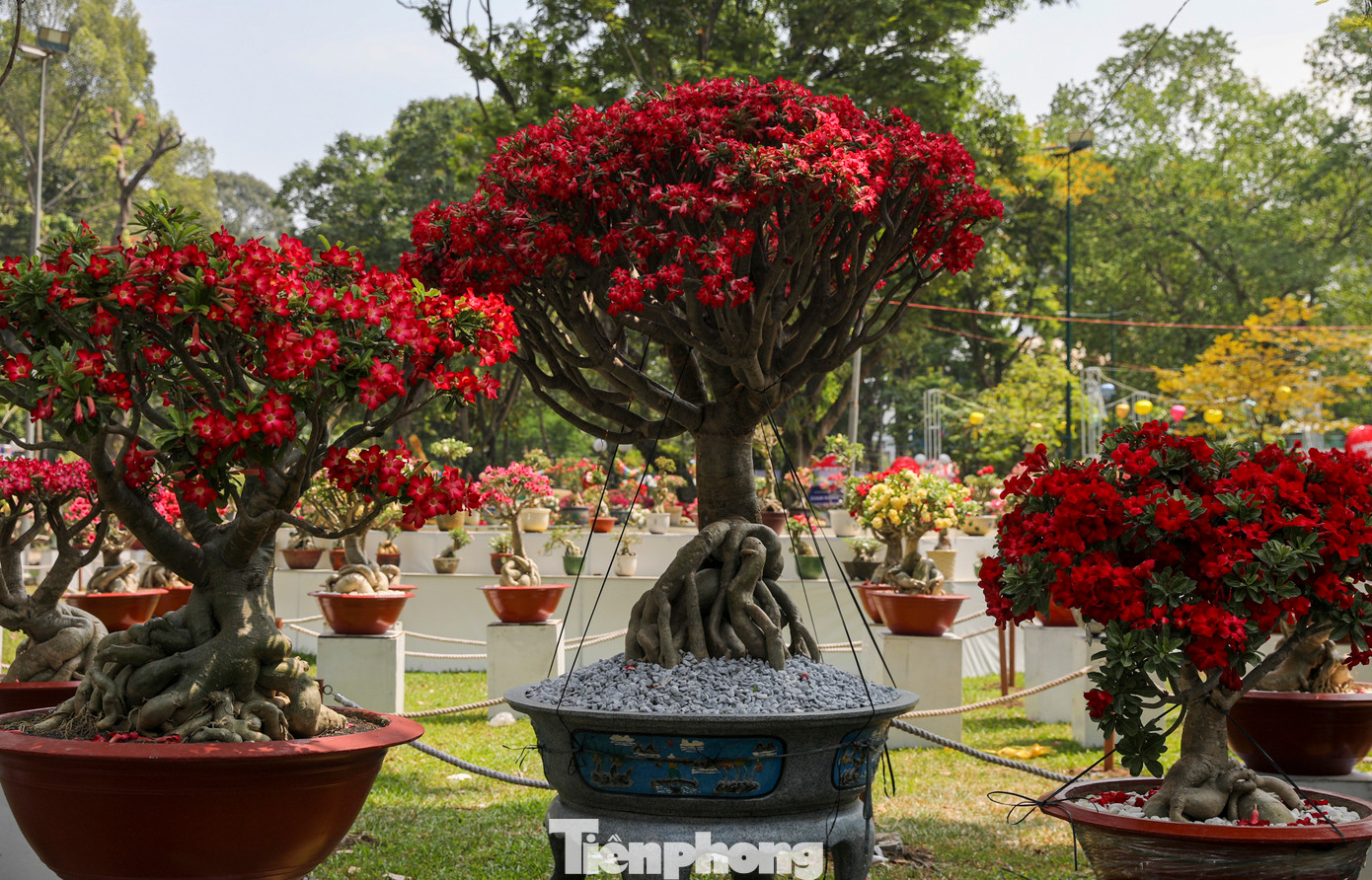 Hội hoa xuân TPHCM một trong những sự kiện lễ hội tiêu biểu để các nghệ nhân nhà vườn trong và ngoài nước giao lưu với nhau.