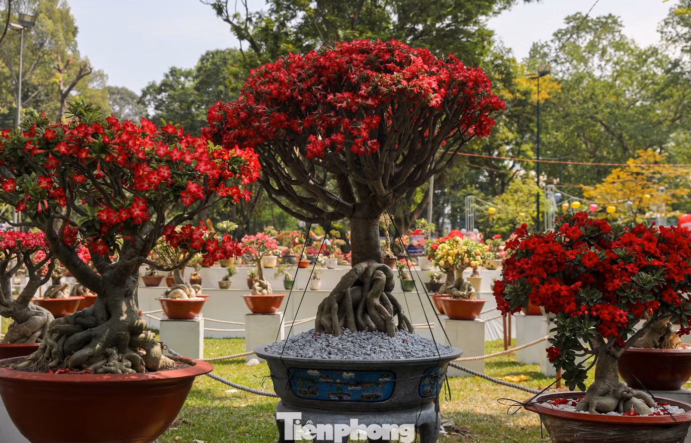 Hội hoa xuân TPHCM một trong những sự kiện lễ hội tiêu biểu để các nghệ nhân nhà vườn trong và ngoài nước giao lưu với nhau.