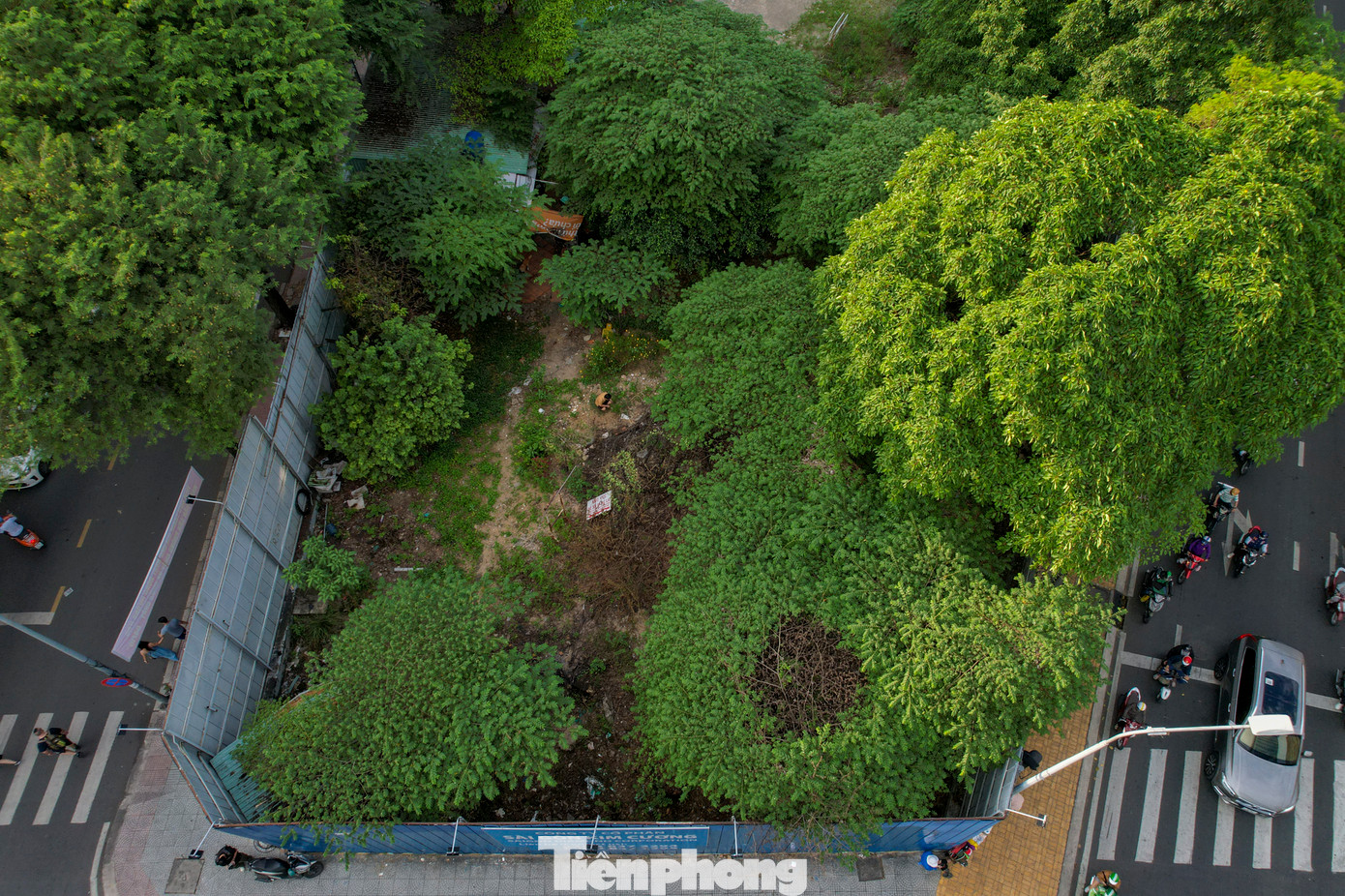 Được kỳ vọng là tòa tháp cao thứ 3 tại TPHCM với 54 tầng nhưng sau gần 2 thập kỷ, dự án tháp SJC Tower vẫn chỉ là bãi đất trống mọc đầy cỏ dại được quây kín bằng hàng rào tôn.