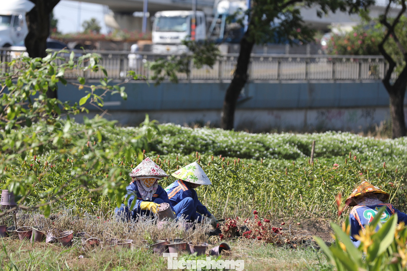 Để hạn chế ánh nắng tiếp xúc trực tiếp với da, công nhân phải đeo khẩu trang, mặc áo dài tay, đeo găng tay khi làm việc.