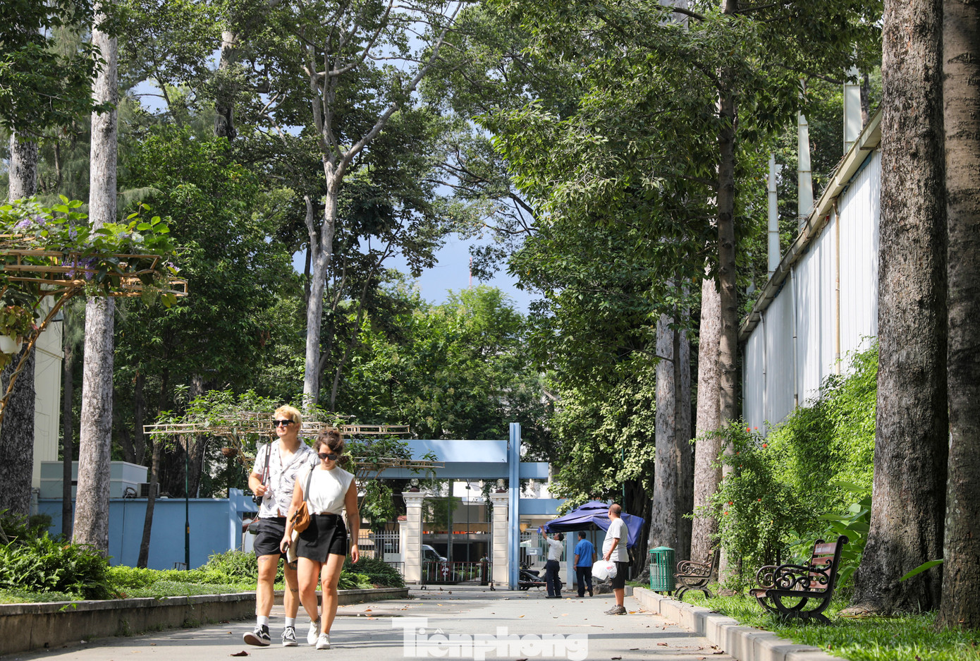 Công viên Tao Đàn là một trong những công viên lớn, đẹp và là mảng xanh ở TPHCM Với không gian thoáng đãng, xanh mát và nhiều hoạt động giải trí, thư giãn, công viên đã thu hút rất đông du khách trong và ngoài nước đến tham quan.