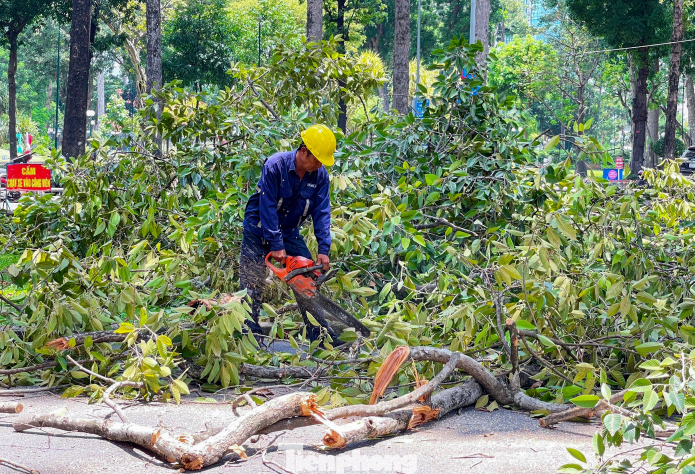 Các khu vực công viên và các tuyến đường lớn như Nguyễn Bỉnh Khiêm, Trương Định, Nguyễn Tri Phương,.. đều được kiểm tra kỹ lưỡng.