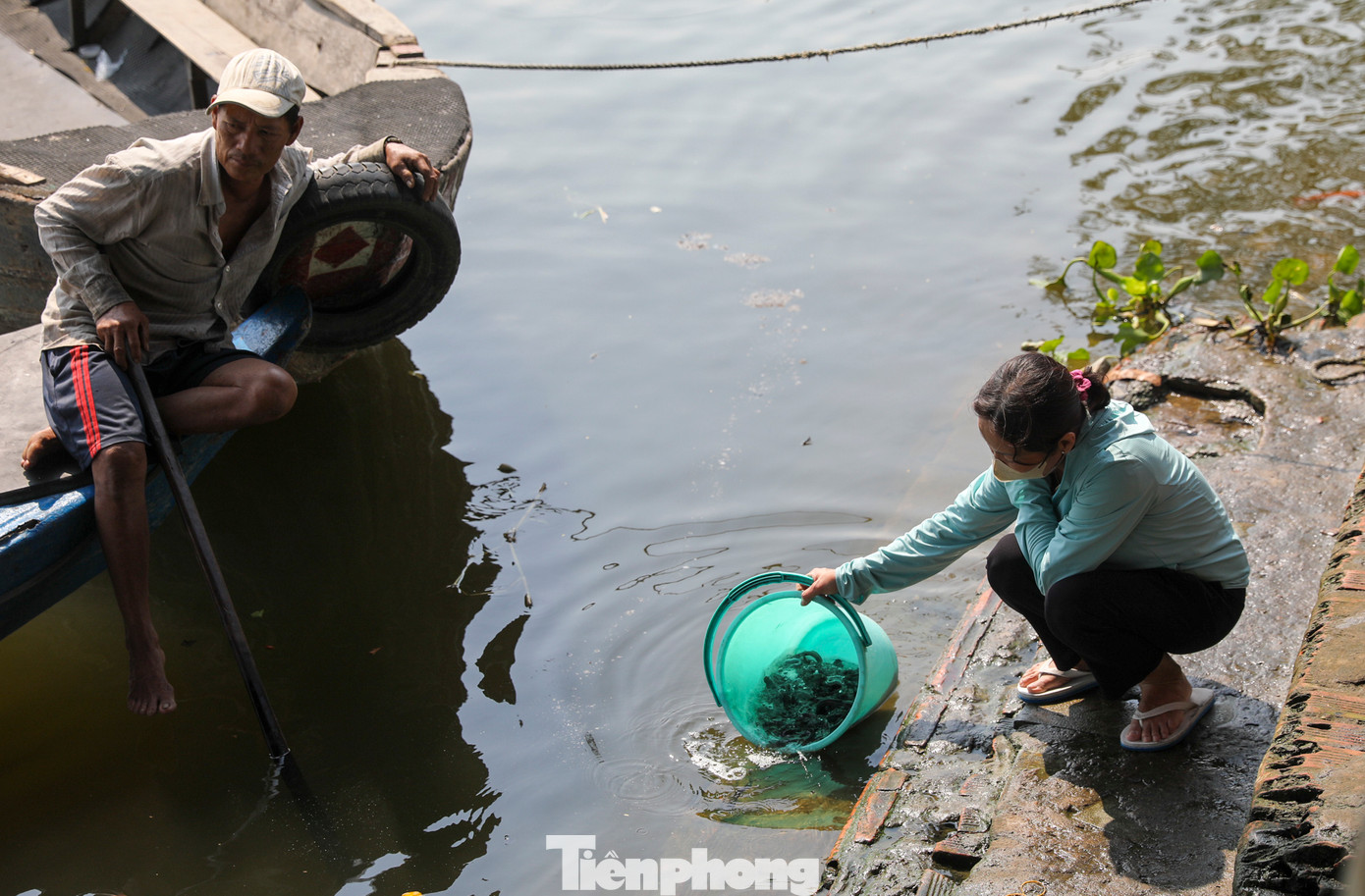 Thời gian đẹp nhất để thả cá chép là trước giờ Ngọ, tức là trước 11h ngày 23 tháng Chạp.