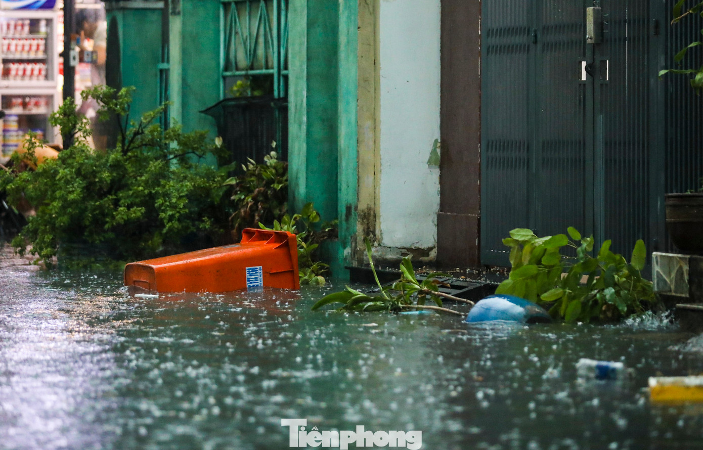 Cây cối bị đổ ngã, rác ngập ngụa nổi lềnh bềnh trên mặt nước.