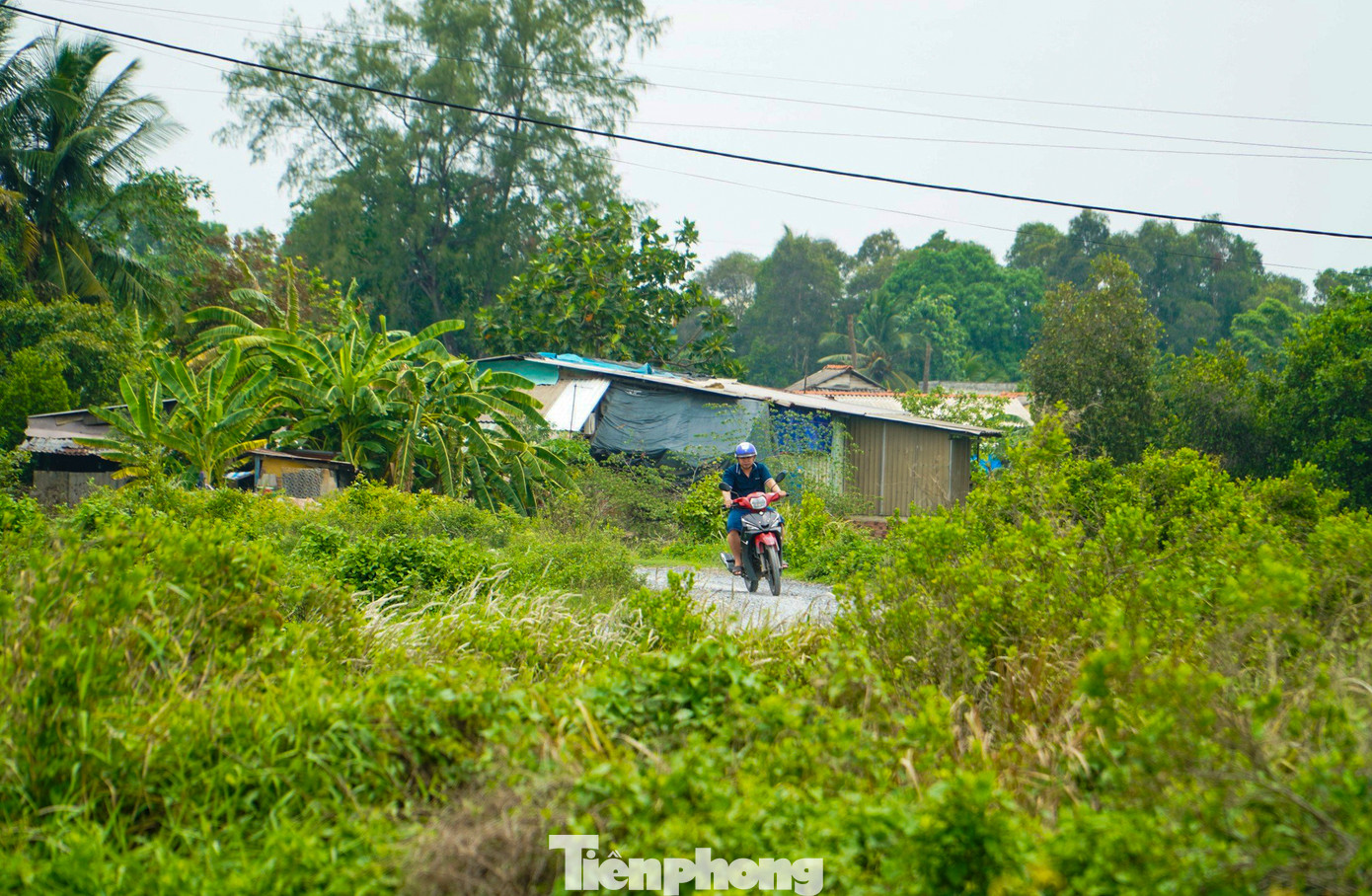 Depot Tân Kiên là nơi sắp tới xây dựng khu trung tâm điều khiển, tập kết, bảo dưỡng, sửa chữa tàu thuộc Metro Bến Thành - Tân Kiên.