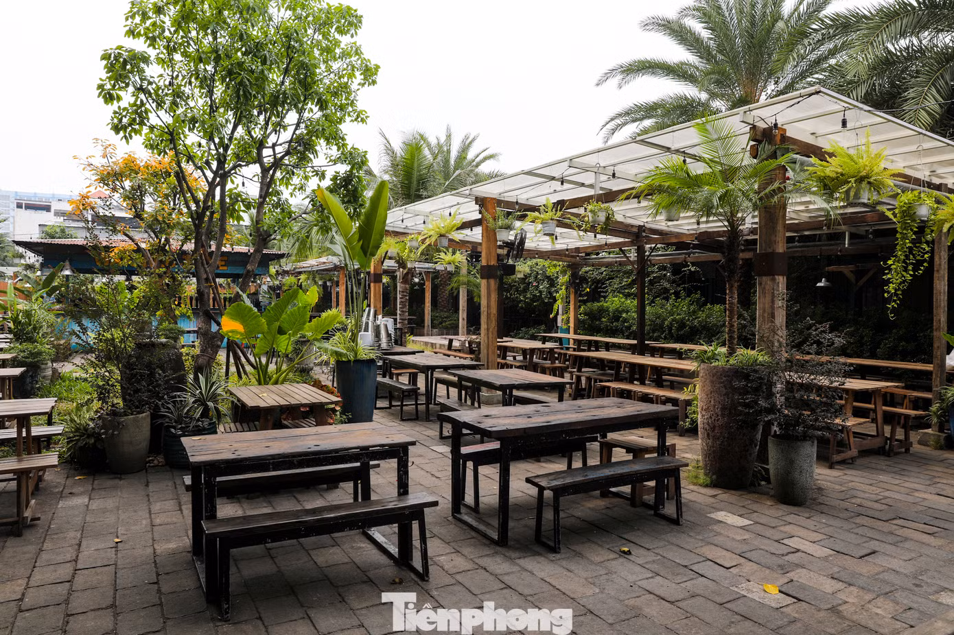Kết luận thanh tra việc chấp hành pháp luật trong quản lý và sử dụng đất đai, Thanh tra Chính phủ (TTCP) đã chỉ ra nhiều sai phạm liên quan đến việc xử lý sắp xếp lại nhà, đất thuộc sở hữu nhà nước tại Tổng công ty Chè Việt Nam.