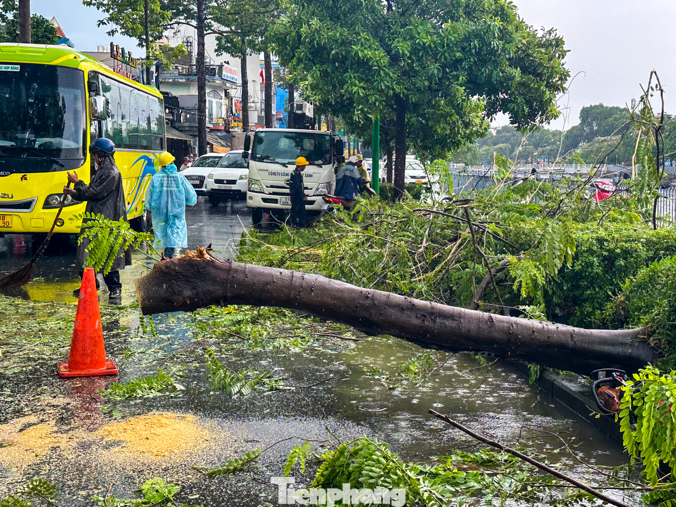 Người dân ở đây cho biết, chỉ sau khoảng 30 phút mưa giông thì cây bất ngờ bật gốc nhưng rất may là không có thiệt hại về người. Người dân ở đây cho biết, chỉ sau khoảng 30 phút mưa giông thì cây bất ngờ bật gốc nhưng rất may là không có thiệt hại về người.