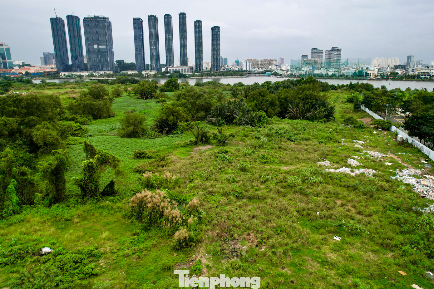 Hầu hết khu vực đều phủ kín bởi cỏ lau rậm rạp, um tùm. Đây là sự tương phản với bên kia sông Sài Gòn, nơi những tòa nhà cao tầng vươn lên chọc trời, hằng đêm, ánh đèn rực rỡ phản chiếu trên mặt nước, tạo nên khung cảnh đô thị nhộn nhịp, hiện đại.
