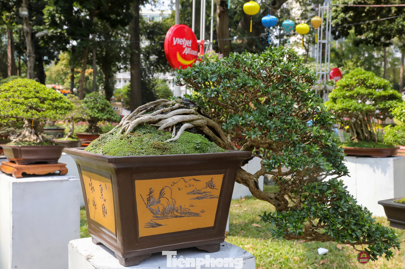 Những tác phẩm độc lạ được các nghệ nhân mang đến trưng bày phục vụ cho nhu cầu tham quan của du khách.