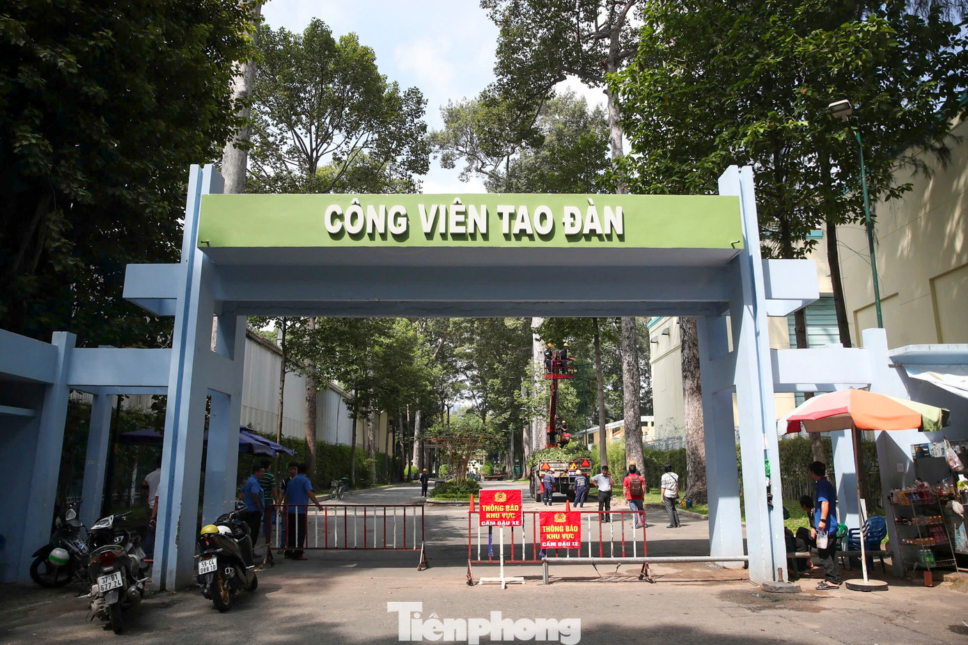 Công viên Tao Đàn (quận 1, TPHCM) được xem là "lá phổi xanh" của thành phố có diện tích khoảng 9ha, với nhiều cây cổ thụ trăm tuổi.