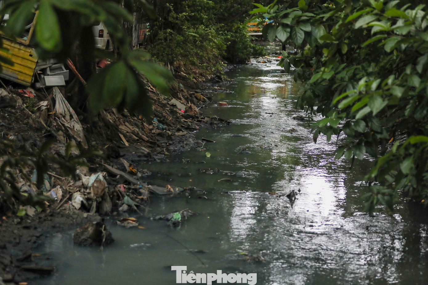 Gần đây, Ban quản lý dự án đầu tư xây dựng hạ tầng đô thị TPHCM (Sở Xây dựng) đã lập hồ sơ xây dựng dự án cải tạo kênh Hy Vọng giai đoạn 2021 - 2025 với tổng mức đầu tư gần 2.000 tỉ đồng.