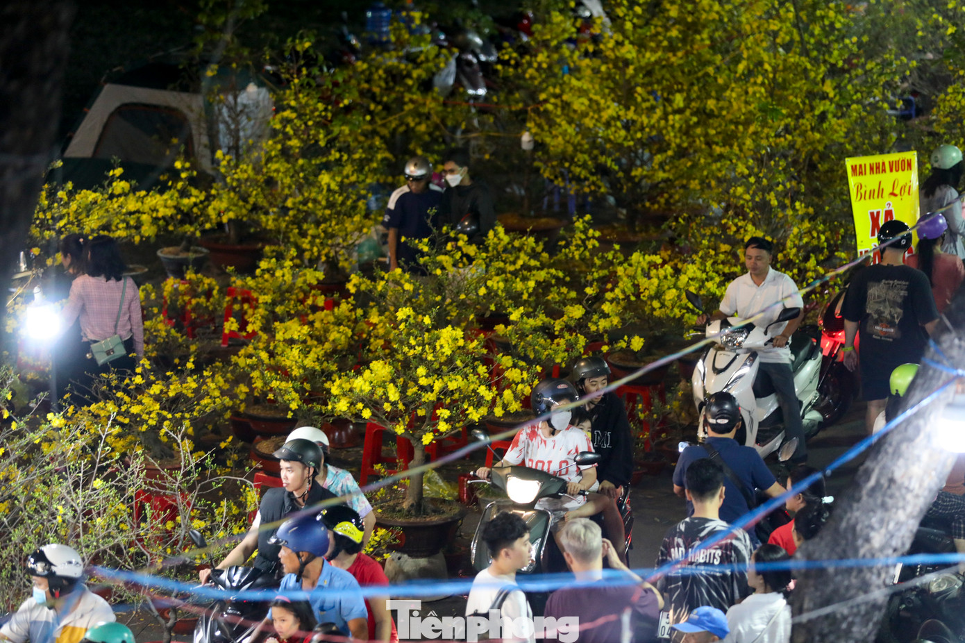 Mỗi dịp Tết, công viên Làng hoa Gò Vấp đã trở thành điểm hẹn quen thuộc của nhiều người dân.