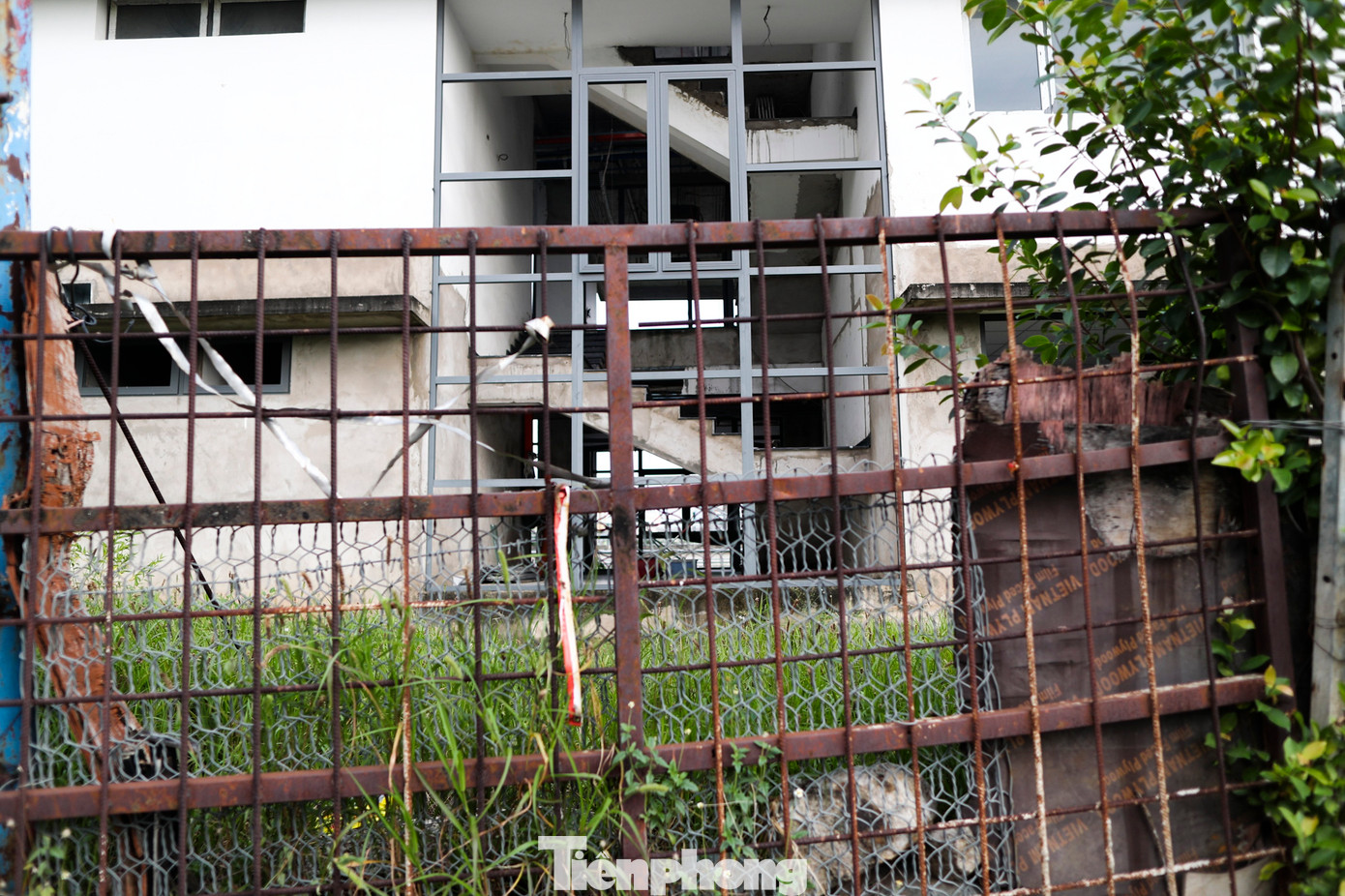 Cây cối mọc um tùm, nhiều hạng mục đắp chiếu đang có dấu hiệu xuống cấp.