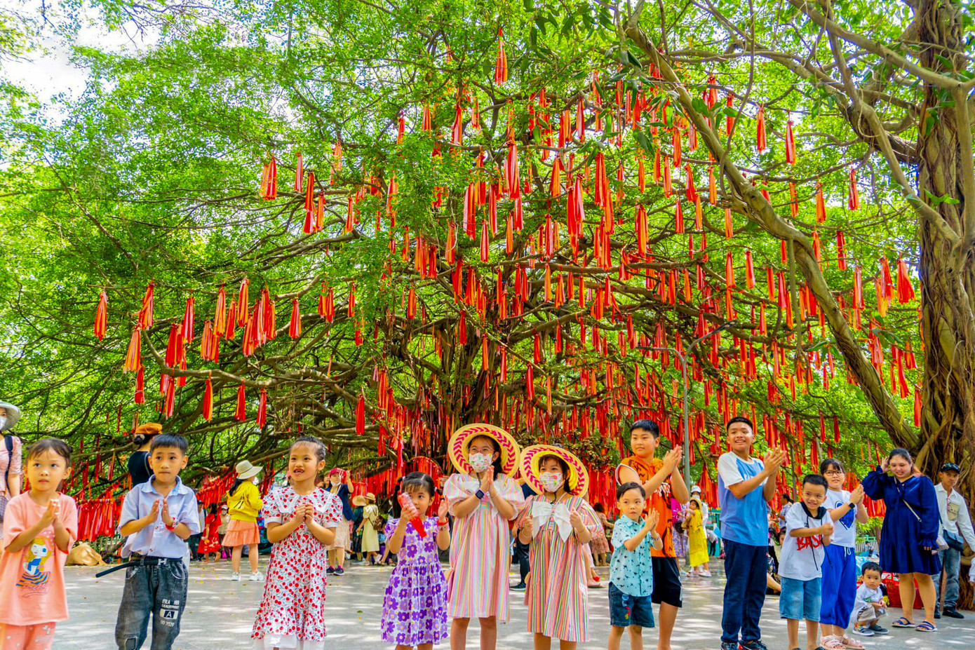"Cây ước nguyện" ở Suối Tiên thực chất là một gốc đa cổ thụ, với tán rộng, cành cao vươn dài ra tứ phương.